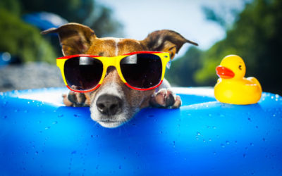 Sunwear is Good Eye Health Care: Six reasons you should wear sunglasses more often.